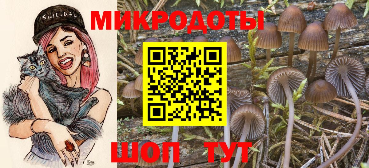 Галлюциногенные грибы ЛСД  Вход с VPN  Нефтекумск 