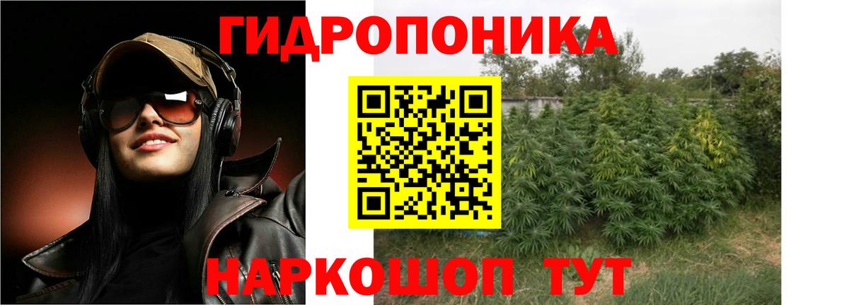 Конопля MAZAR Нефтекумск